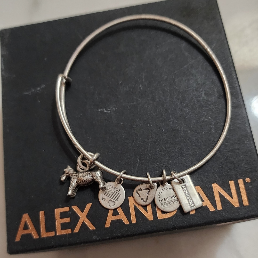 Alex and Ani Monopoly Bracelet